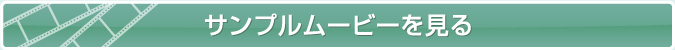 サンプルムービーを見る